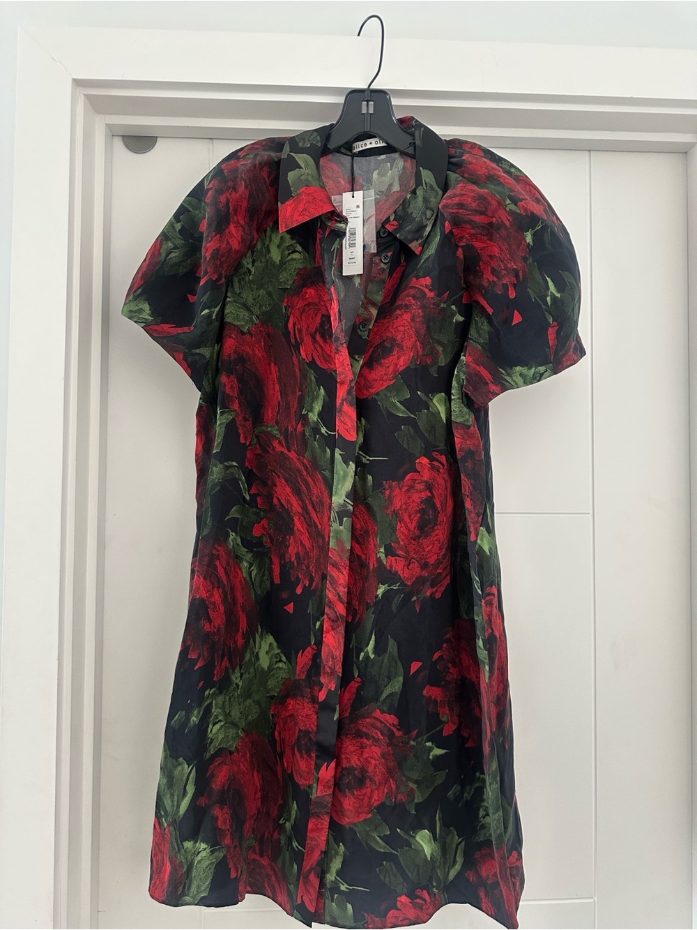 Alice and Olivia Floral Button-Front Dress with Short Sleeves - Black, red green